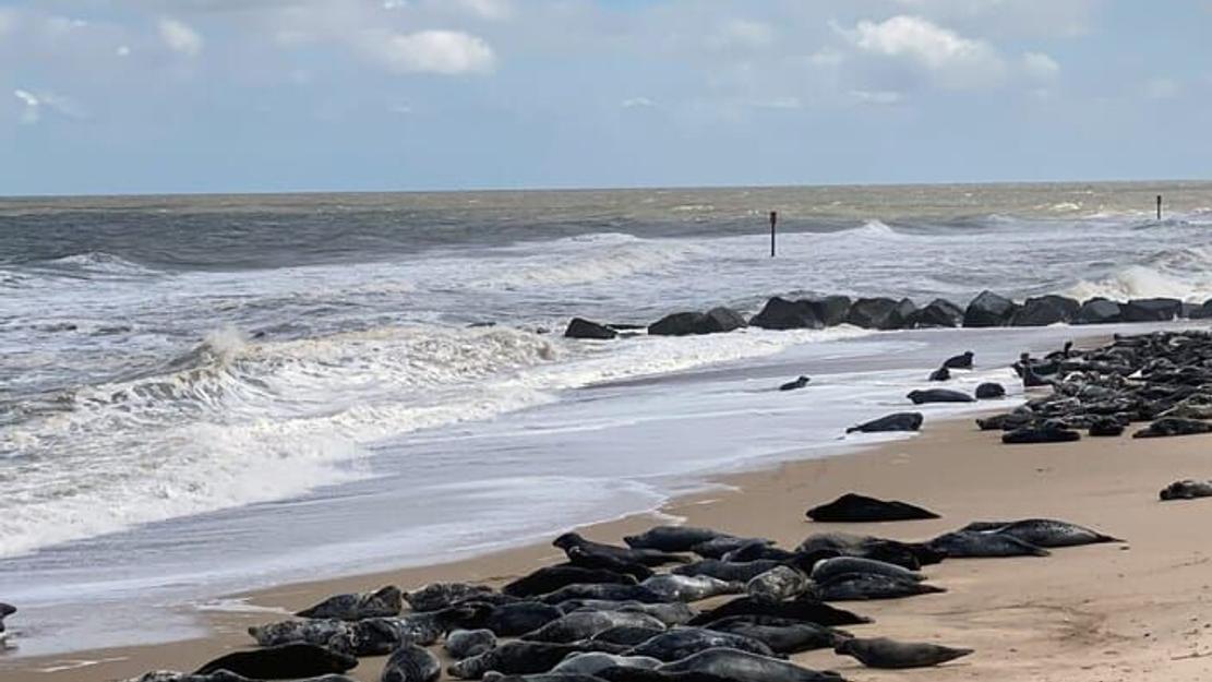 La mer du Nord par les côtes L'est de l'Angleterre