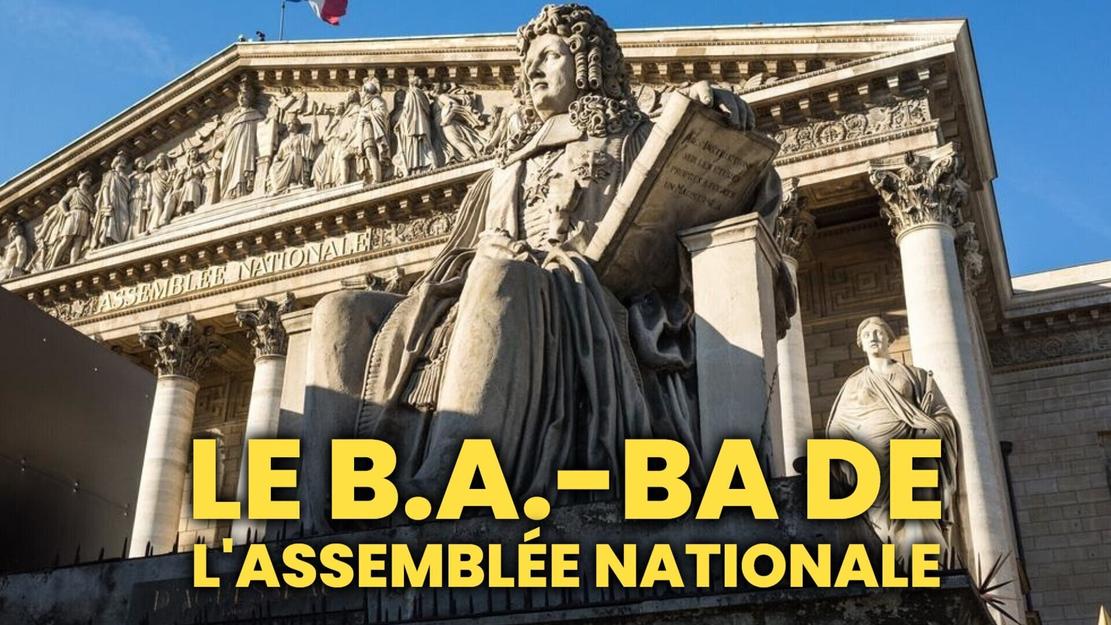 Le b.a.-ba de l'Assemblée nationale Les groupes parlementaires