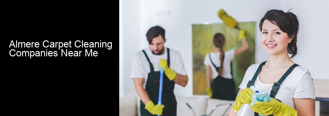 Almere Carpet Cleaning Companies Near Me