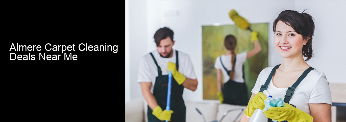 Almere Carpet Cleaning Deals Near Me