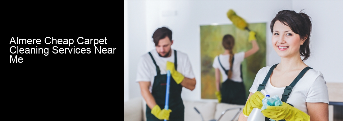 Almere Cheap Carpet Cleaning Services Near Me