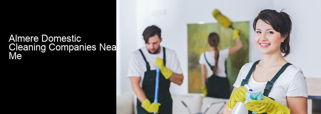 Almere Domestic Cleaning Companies Near Me